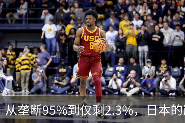 从垄断95%到仅剩2.3%，日本的崩溃循环，中国亲手按下终止键