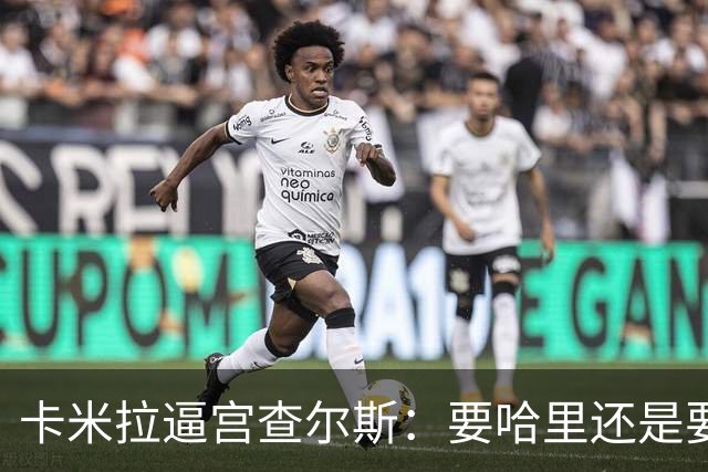 卡米拉"逼宫"查尔斯：要哈里还是要我