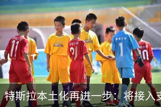 特斯拉本土化再进一步：将接入支付宝车载助手，告别手机停车缴费