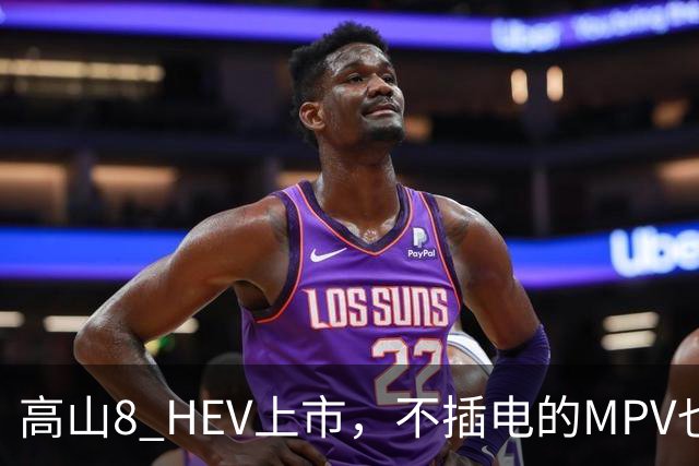 高山8 HEV上市，不插电的MPV也配激光雷达