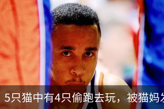 5只猫中有4只偷跑去玩，被猫妈发现后轮番揍，网友：一眼就看出谁没去哈哈！